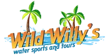 Wild Willy's